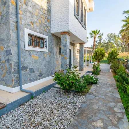 Kale フェティエ