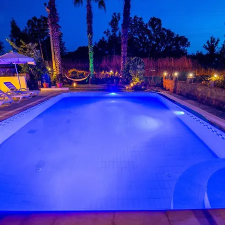 Kale * フェティエ